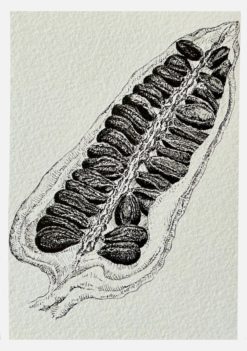 Exclusive black sesame original art print dyptich