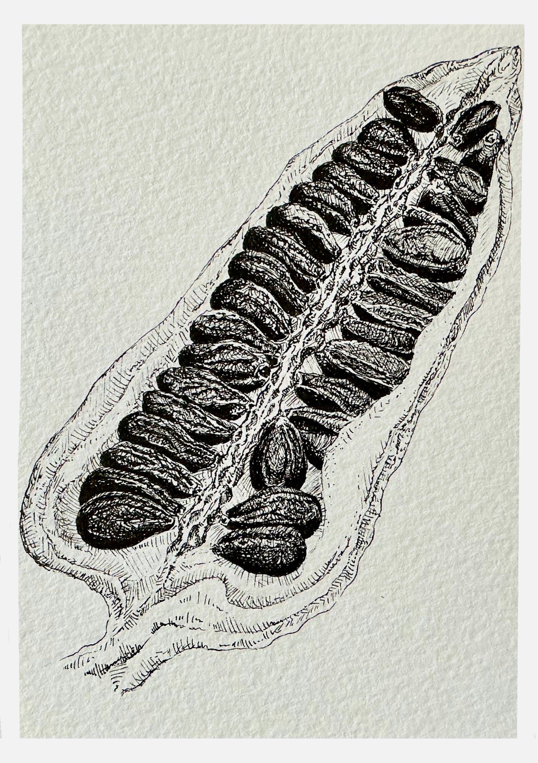 Exclusive black sesame original art print dyptich