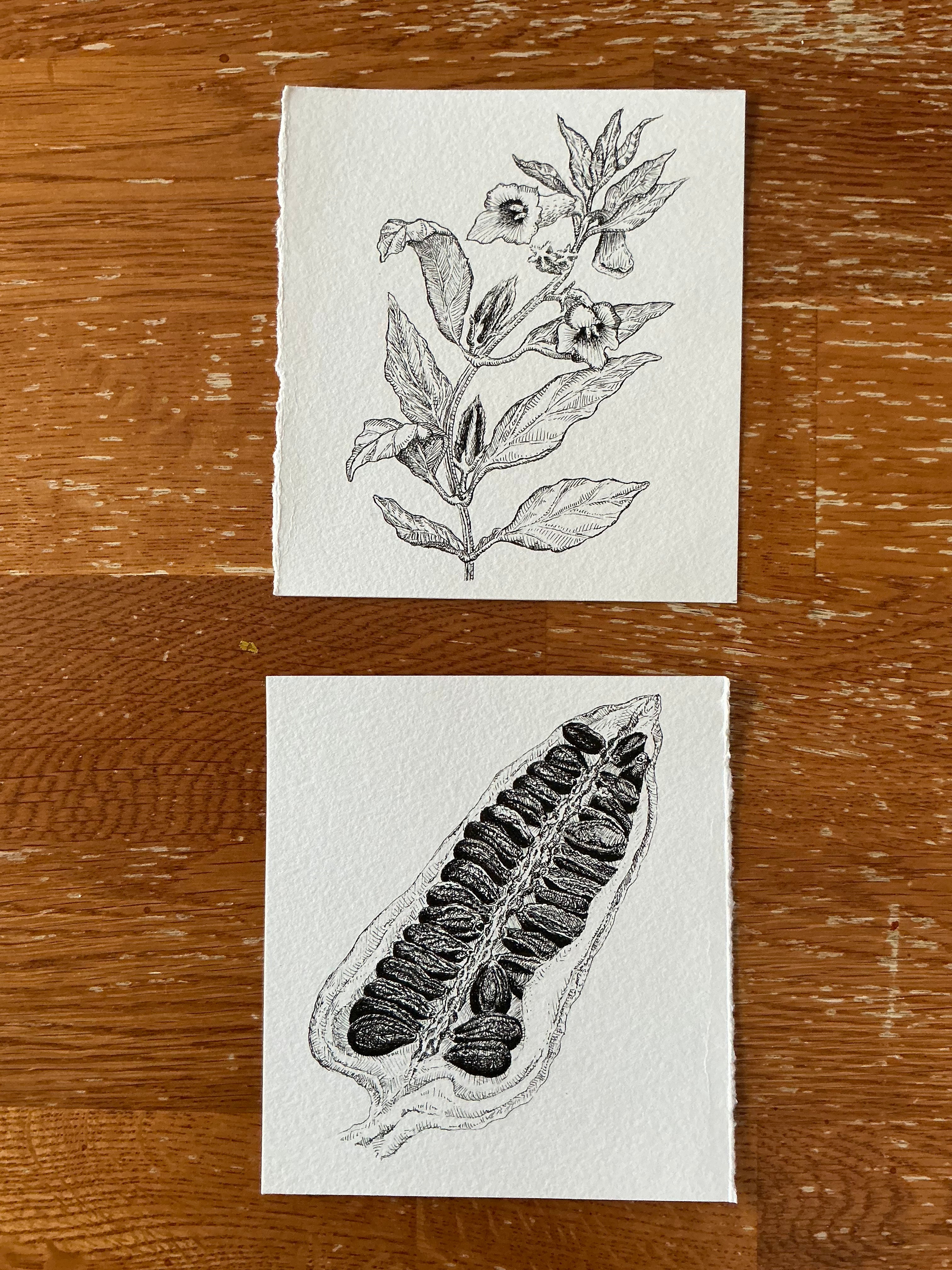 Exclusive black sesame original art print dyptich