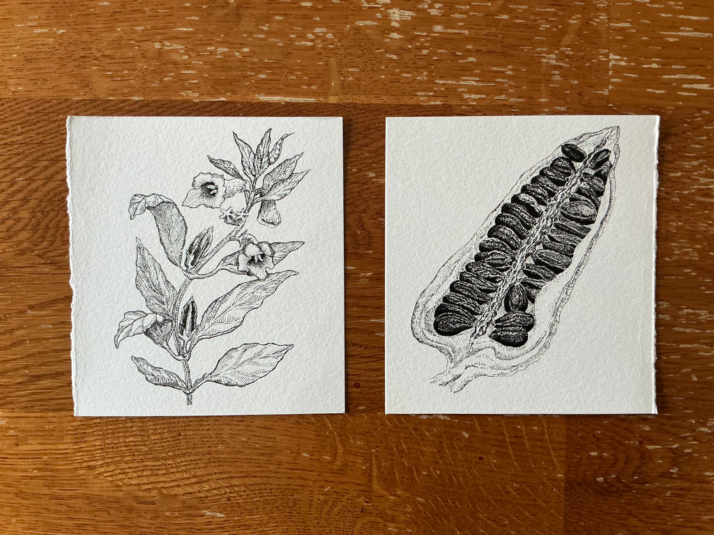 Exclusive black sesame original art print dyptich