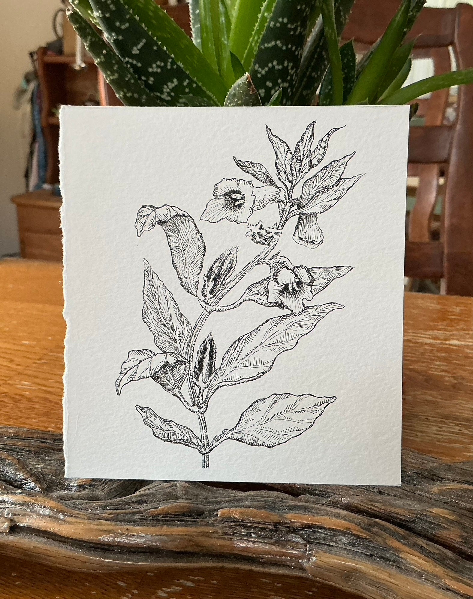Exclusive black sesame blossom original art print